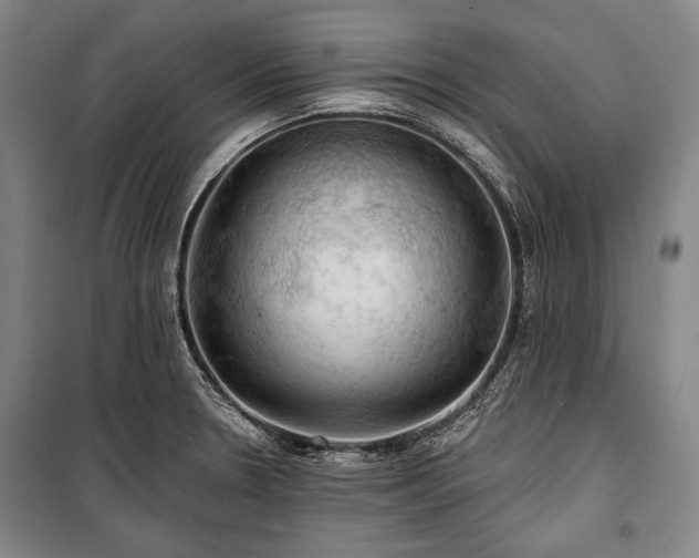X0000101161330200806271000