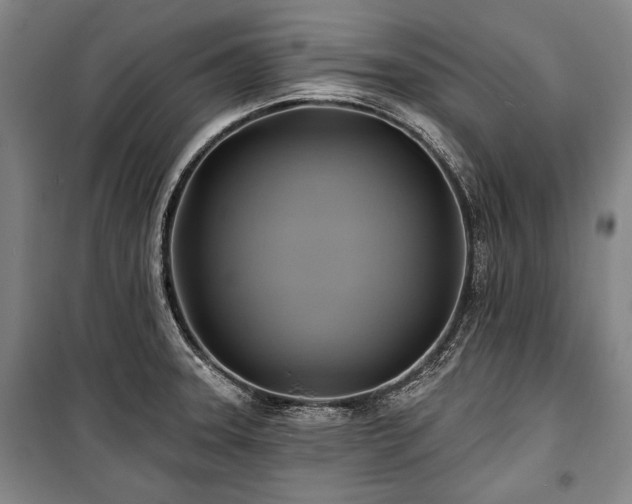 X0000101161331200806271000