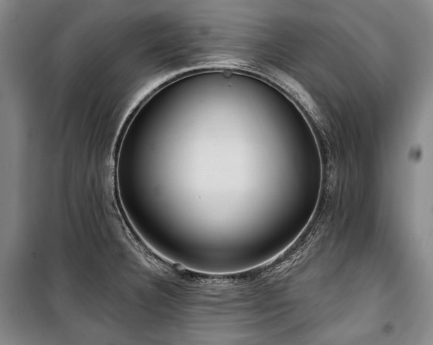 X0000101161332200806271000