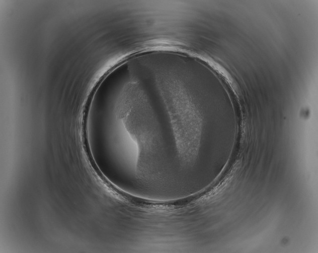 X0000101161333200806271000