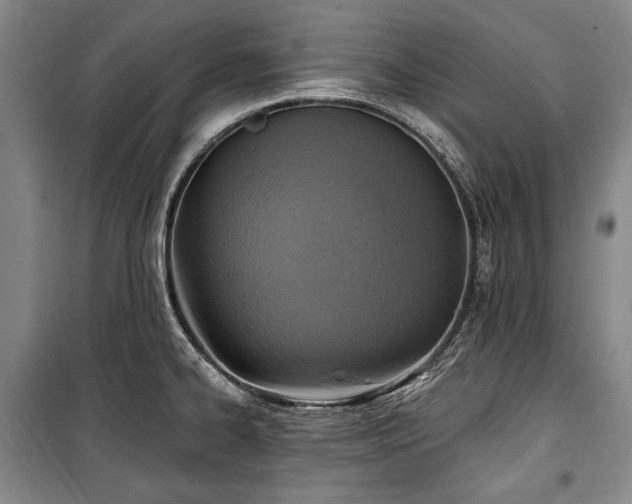 X0000101161334200806271000