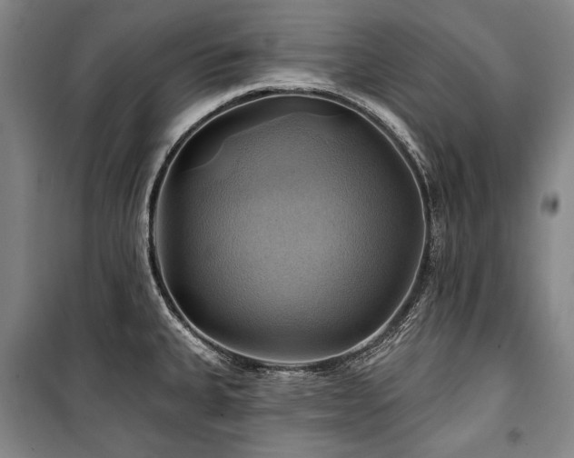 X0000101161335200806271000