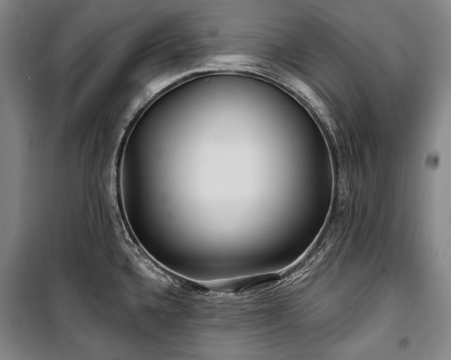 X0000101161336200806271000