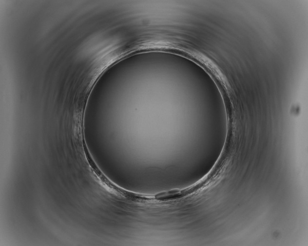 X0000101161337200806271000