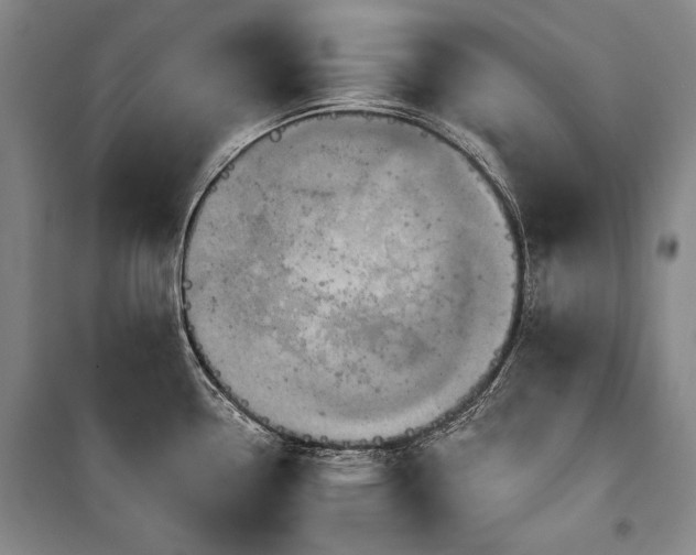 X0000101161338200806271000