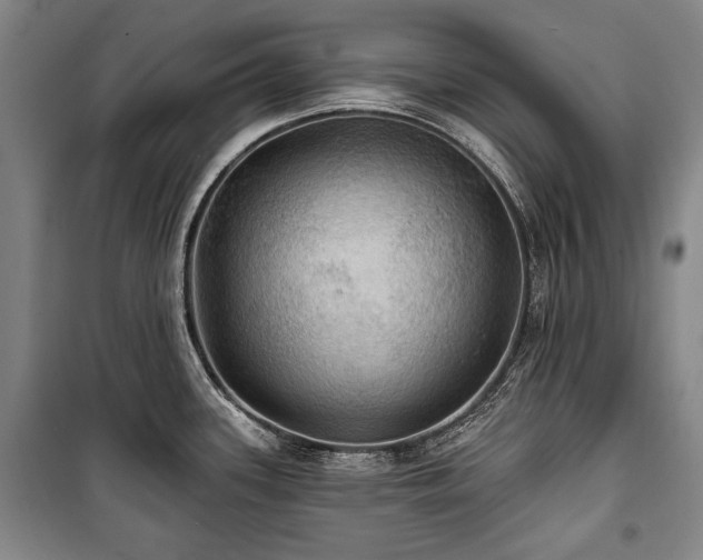 X0000101161339200806271000