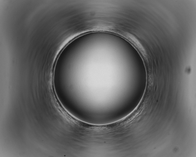 X0000101161340200806271000