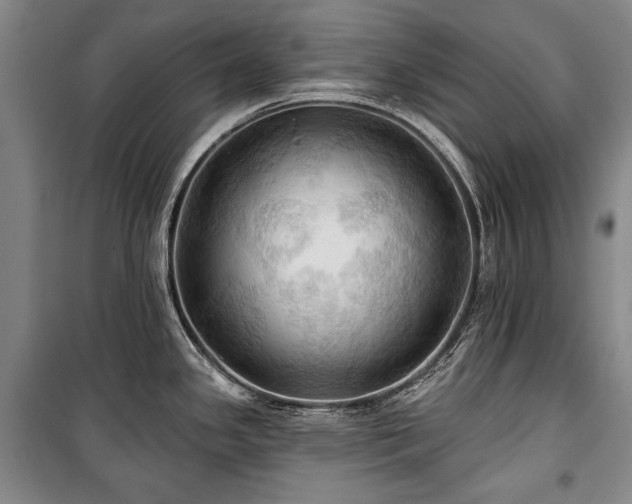 X0000101161341200806271000