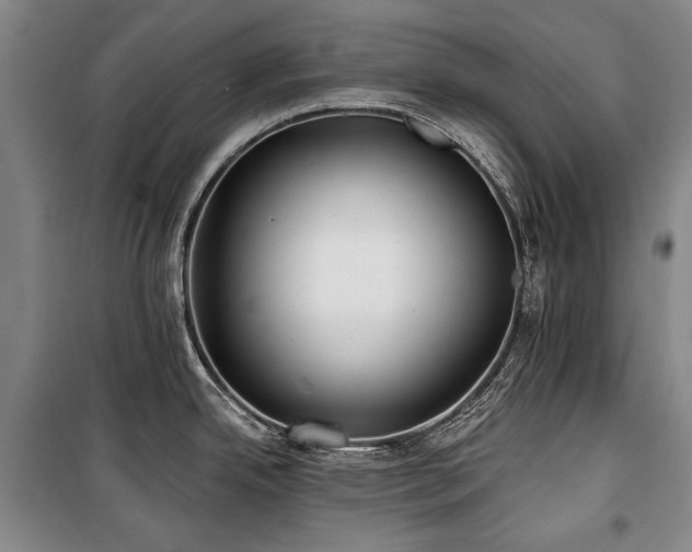 X0000101161342200806271000