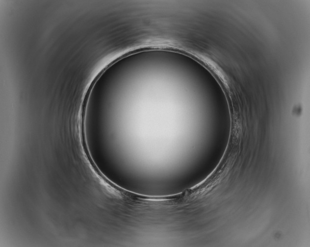 X0000101161343200806271000