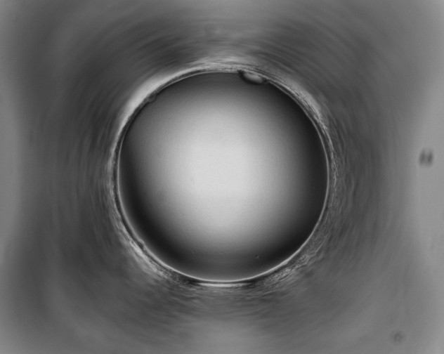 X0000101161344200806271000