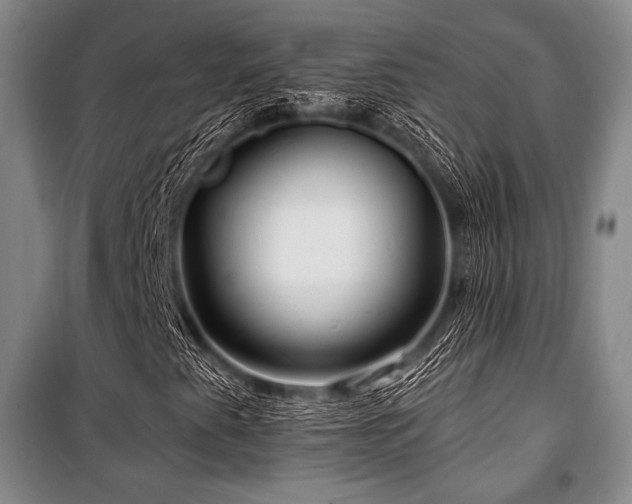 X0000101161345200806270959