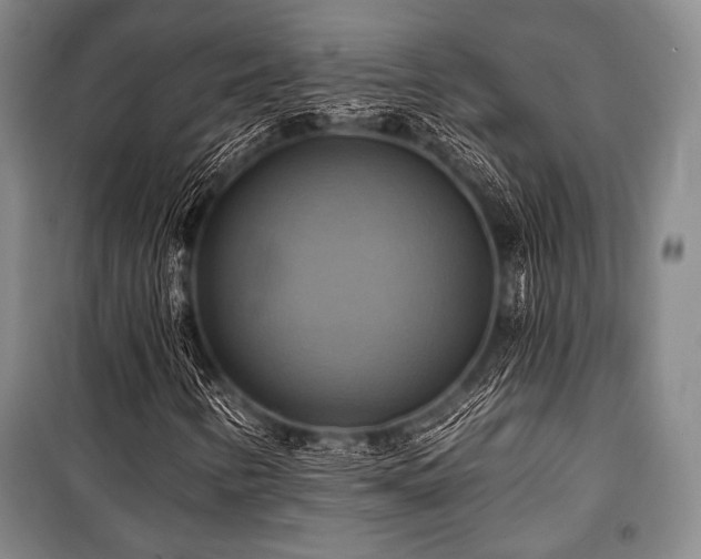 X0000101161346200806270959