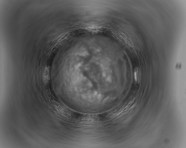 X0000101161347200806270959