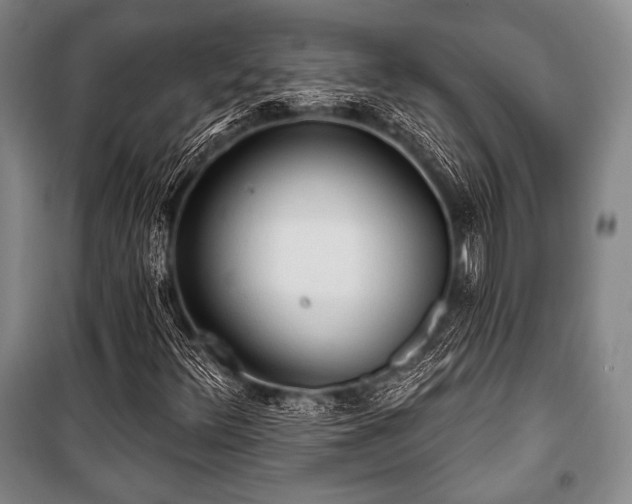 X0000101161348200806270959