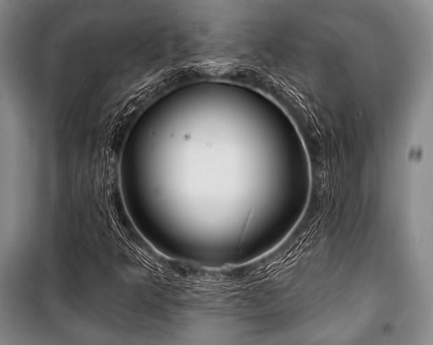 X0000101161349200806270959