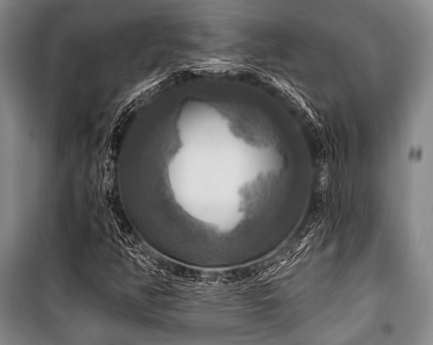 X0000101161350200806270959