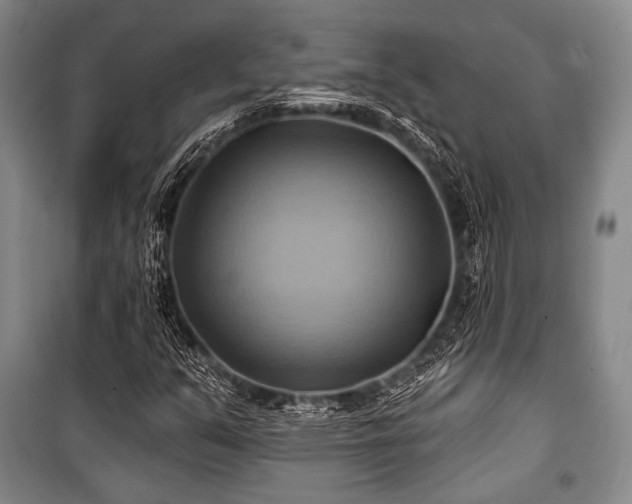 X0000101161351200806270959