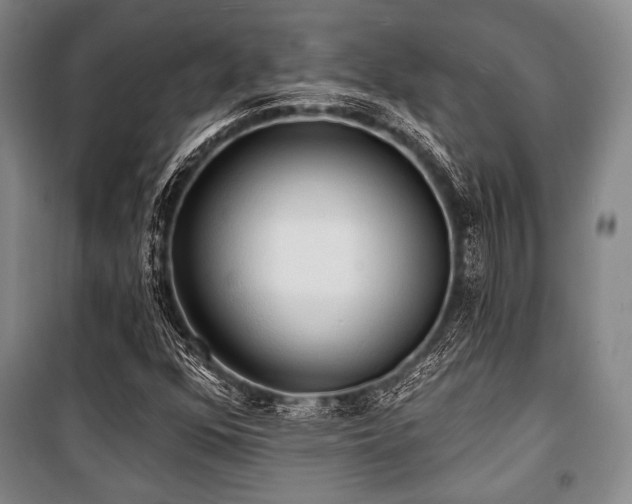 X0000101161352200806270959