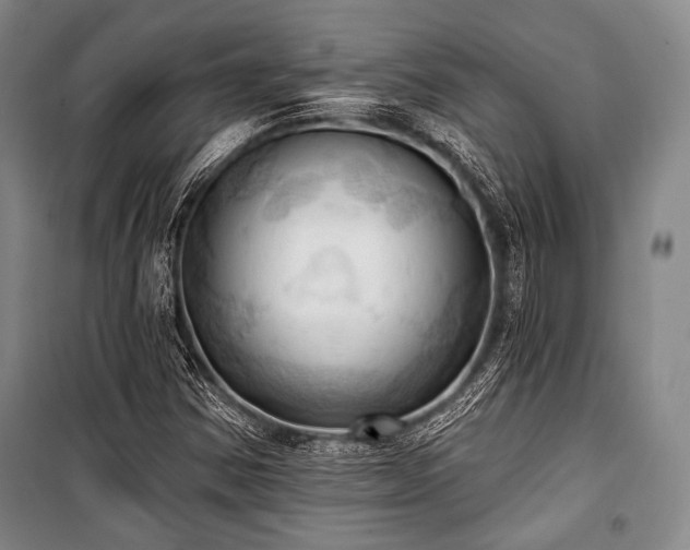 X0000101161354200806270959