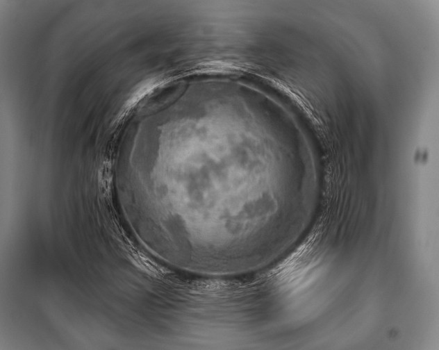 X0000101161355200806270959