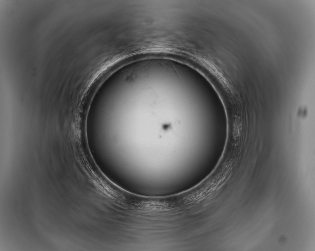 X0000101161356200806270959