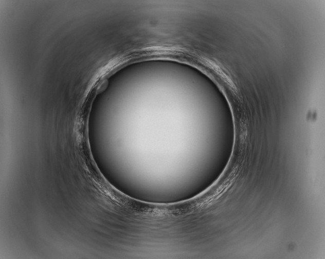 X0000101161357200806270959