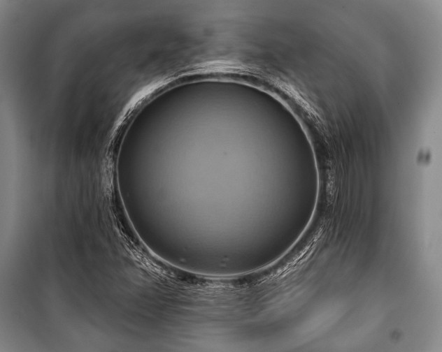 X0000101161358200806270959