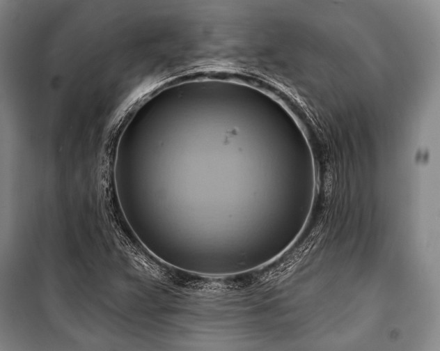 X0000101161359200806270959