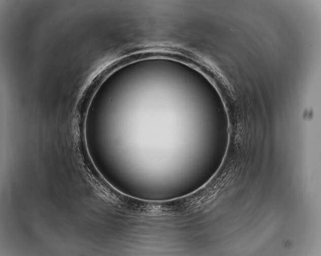 X0000101161360200806270959