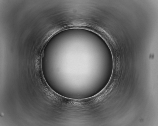 X0000101161361200806270959
