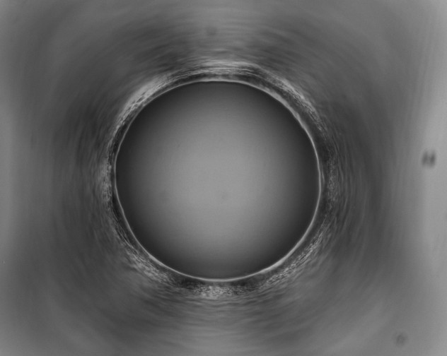 X0000101161362200806270959