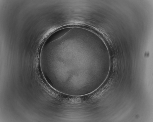 X0000101161363200806270959