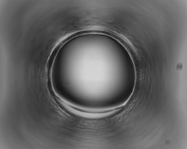 X0000101161364200806270959