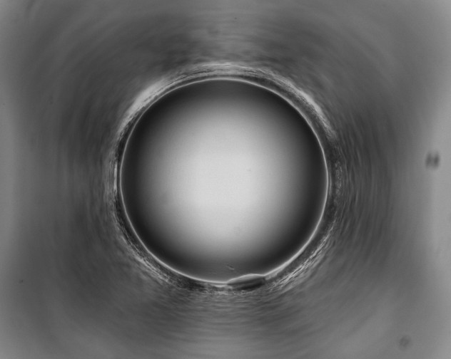 X0000101161365200806270959