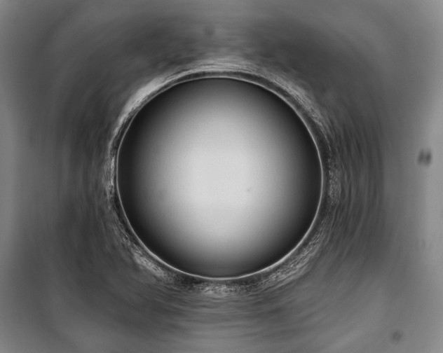 X0000101161366200806270959