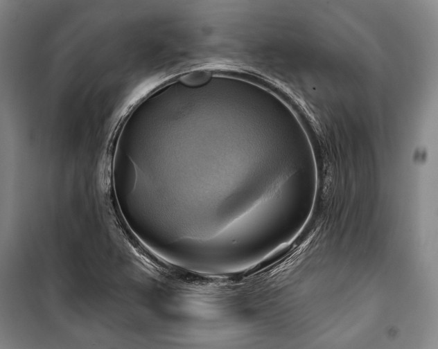 X0000101161367200806270959