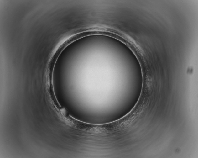 X0000101161368200806270959