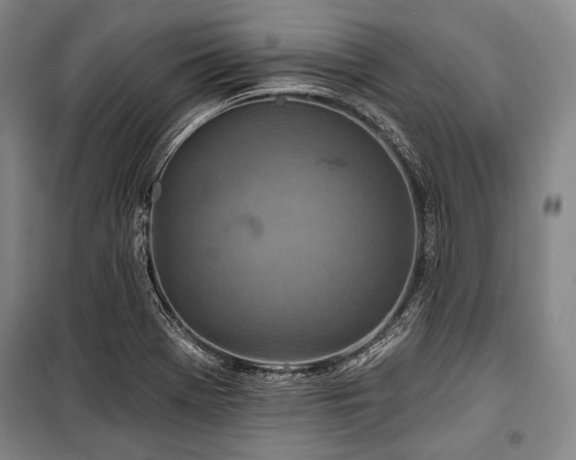 X0000101161369200806270959