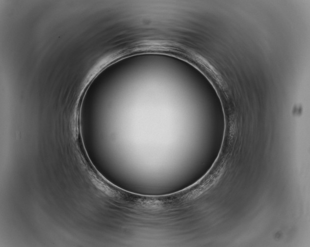 X0000101161370200806270959