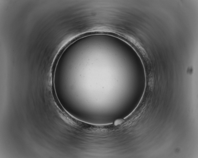 X0000101161372200806270959