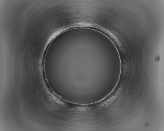 X0000101161373200806270959