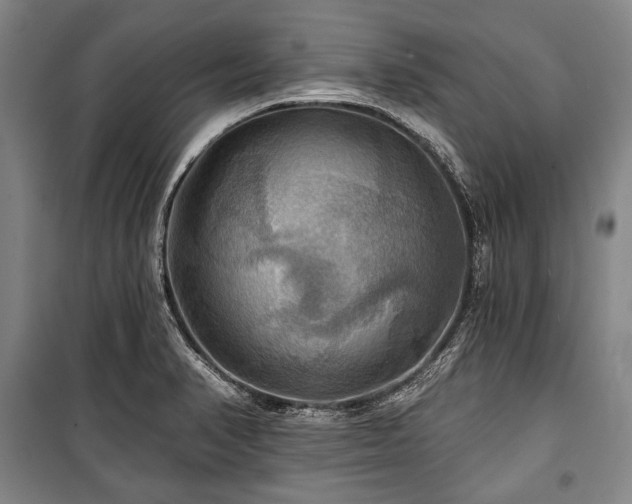 X0000101161374200806270959