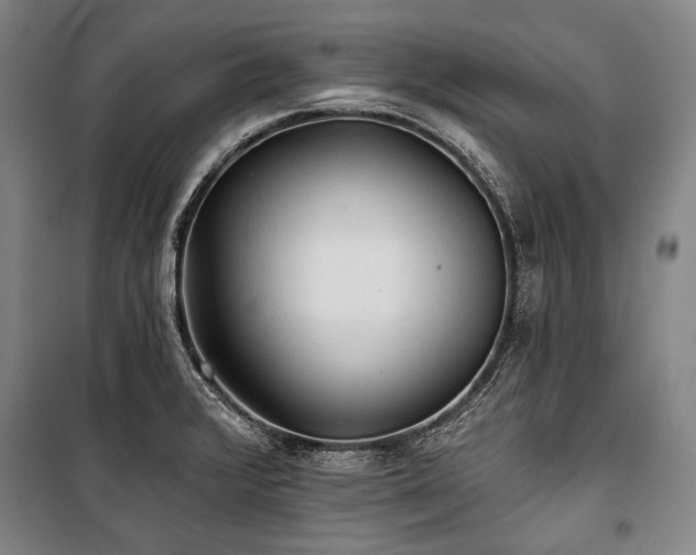 X0000101161376200806270959