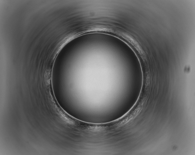 X0000101161377200806270959