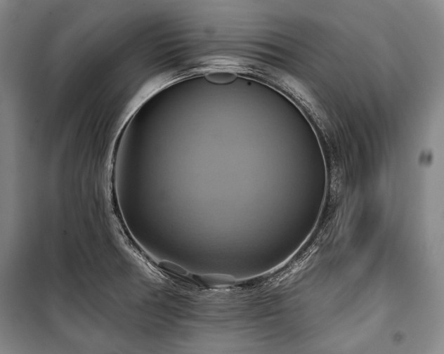 X0000101161378200806270959