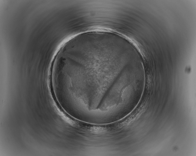 X0000101161379200806270959