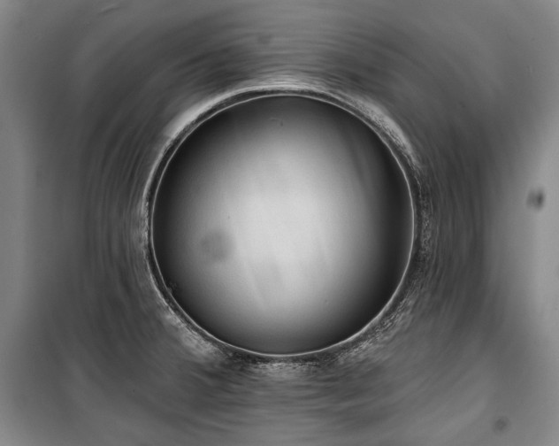 X0000101161380200806270959