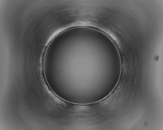 X0000101161382200806270959