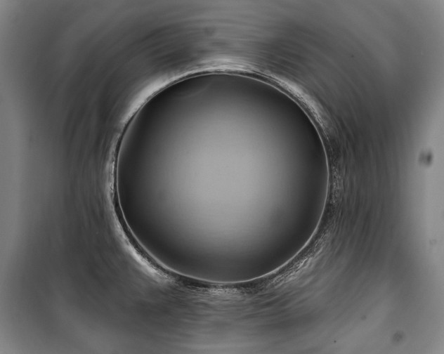 X0000101161383200806270959
